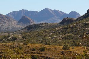 IMG_8487 Larapinta 1