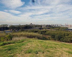 Tom Thumb Lagoon walk - Penny and Ros.  View from the hill across car storage and steelworks.