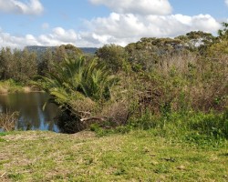 Bellambi Lagoon.  Ros and Penny - an enjoyable walk along the beach from Towradgi.