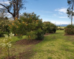Trish and Penny - Integral Energy Park