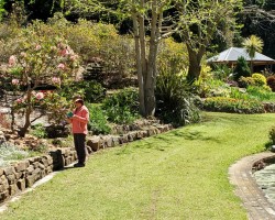 Trish - Rhododendron Garens
