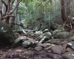 Upper Falls Byarong Creek Mt Keira, Athalie Martin