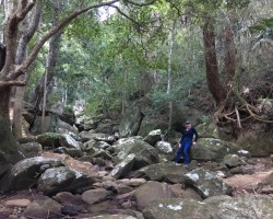 Upper Falls Byarong Creek Mt Keira, Athalie Martin