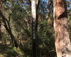 Some photos from Robyn on yesterdays walk with Judy on the way to Burning Palms
