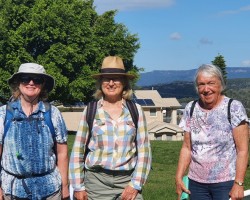 Shellcove gardens
