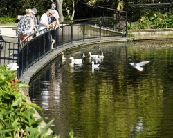 Wollongong Botanic Gardens