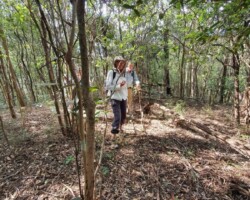Walk: Navigation Exercise, Mt Kembla - 30 Oct 2021