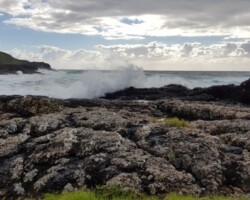 Walk along clifftops from Loves Bay Kiama to Werri Beach and return. 
Spectacular views along grassy track, Some ups and downs.
