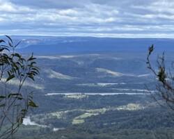 Near Fitzroy Falls we’ll take the fire trail south-east to a couple of short off track sections for views into Kangaroo Valley and return. Total ascent 320m.