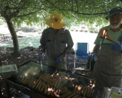 Come along and enjoy getting together again with other Ramblers in the beautiful Rhododendron Gardens. Don't forget to wear a bit of Christmas colour or bling. There will be lucky gate prizes and some Christmas fare.