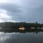 Thunder and rain paddle