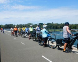 Iron Cove Bridge
