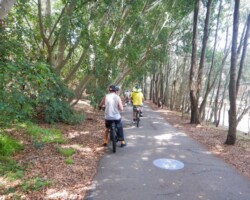 The Greenway