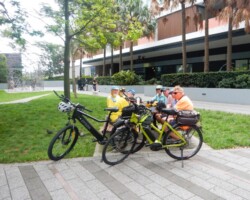 Lunch at Wolli Creek